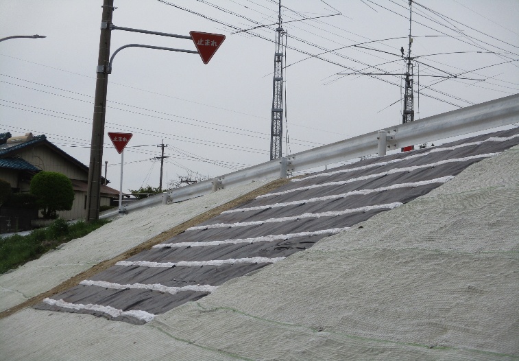 施工完了(外周部は植生シート)