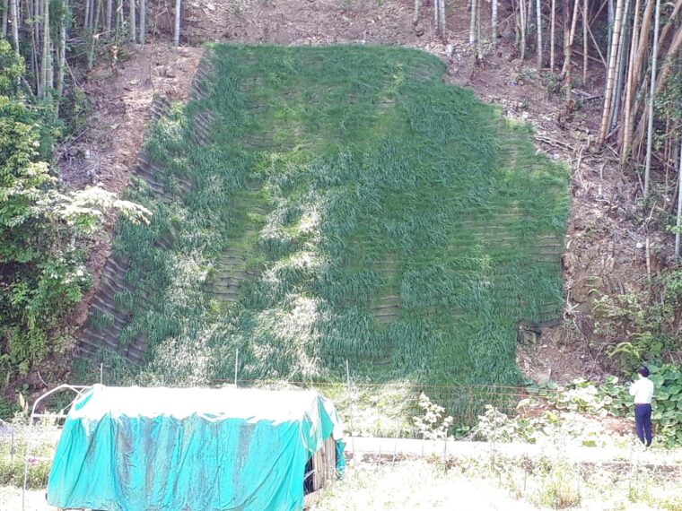 鴨地道路維持工事