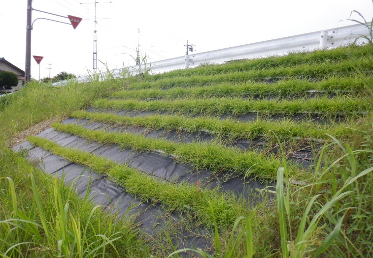 森林公園ちびっこ広場修繕工事