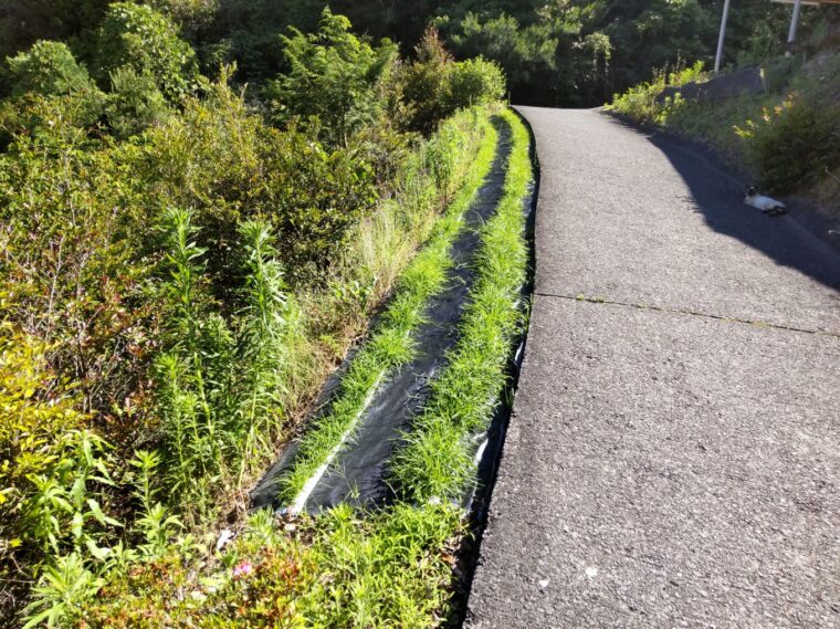 農地整備工事(試験施工)