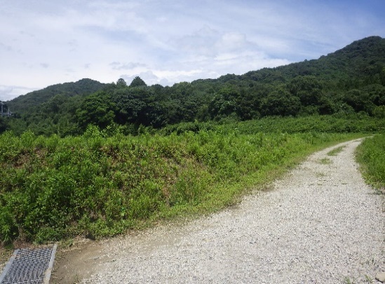 防災ダム事業ため池改修(試験施工)