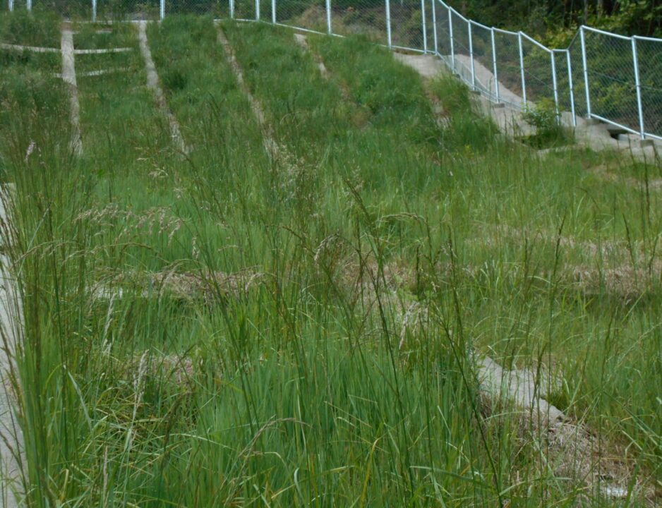 施工後1年6ヶ月