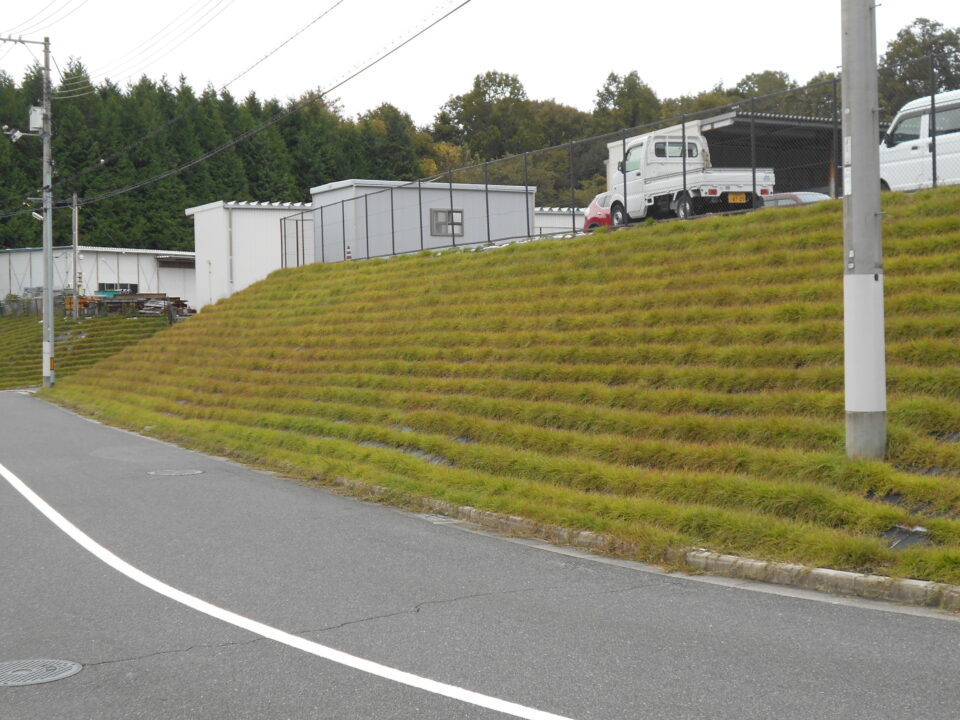 施工後4ヶ月(地上部の紅葉)