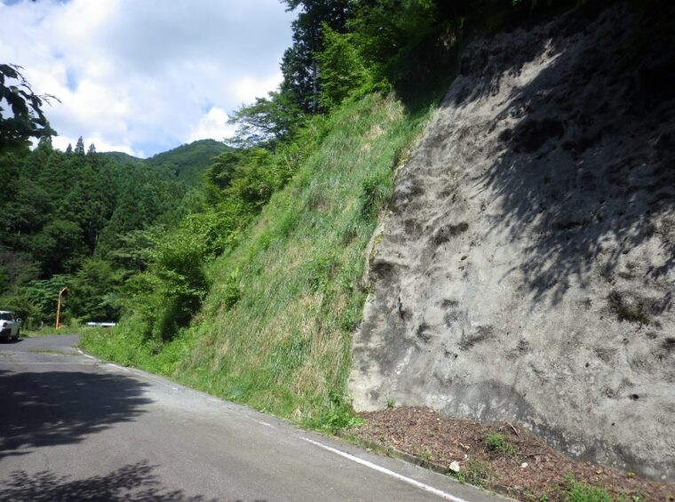 林道瓜島線法面改良工事