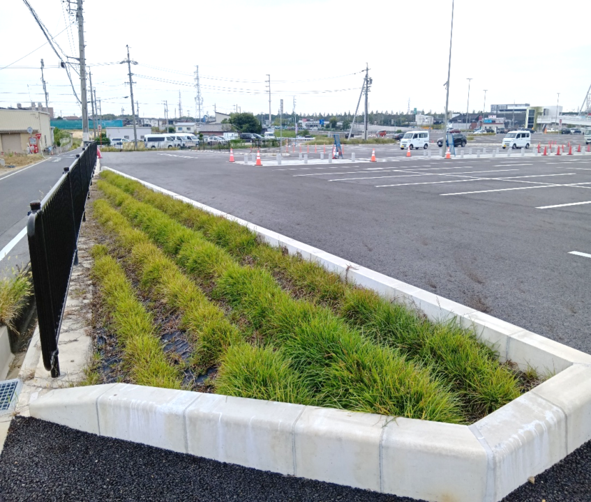 施工後1年6ヶ月