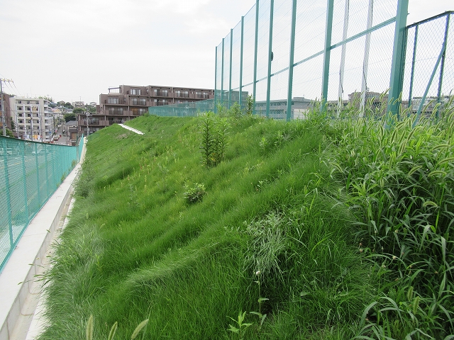 林道鐘山線道路工事