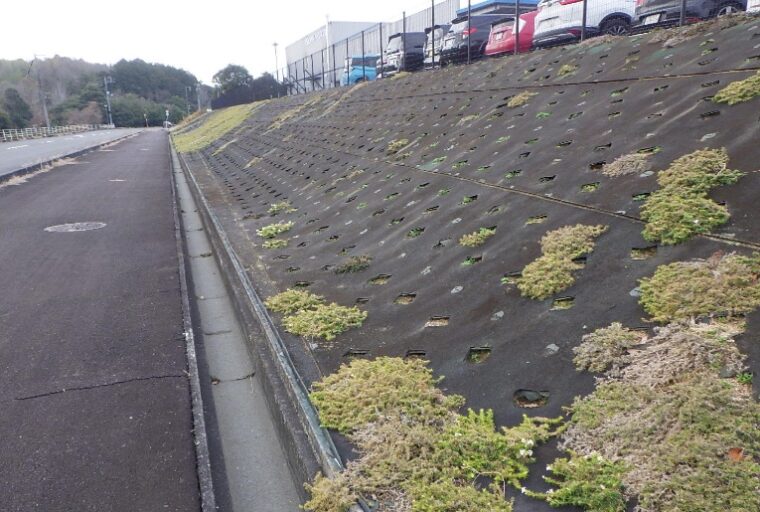田圃法面(試験施工)