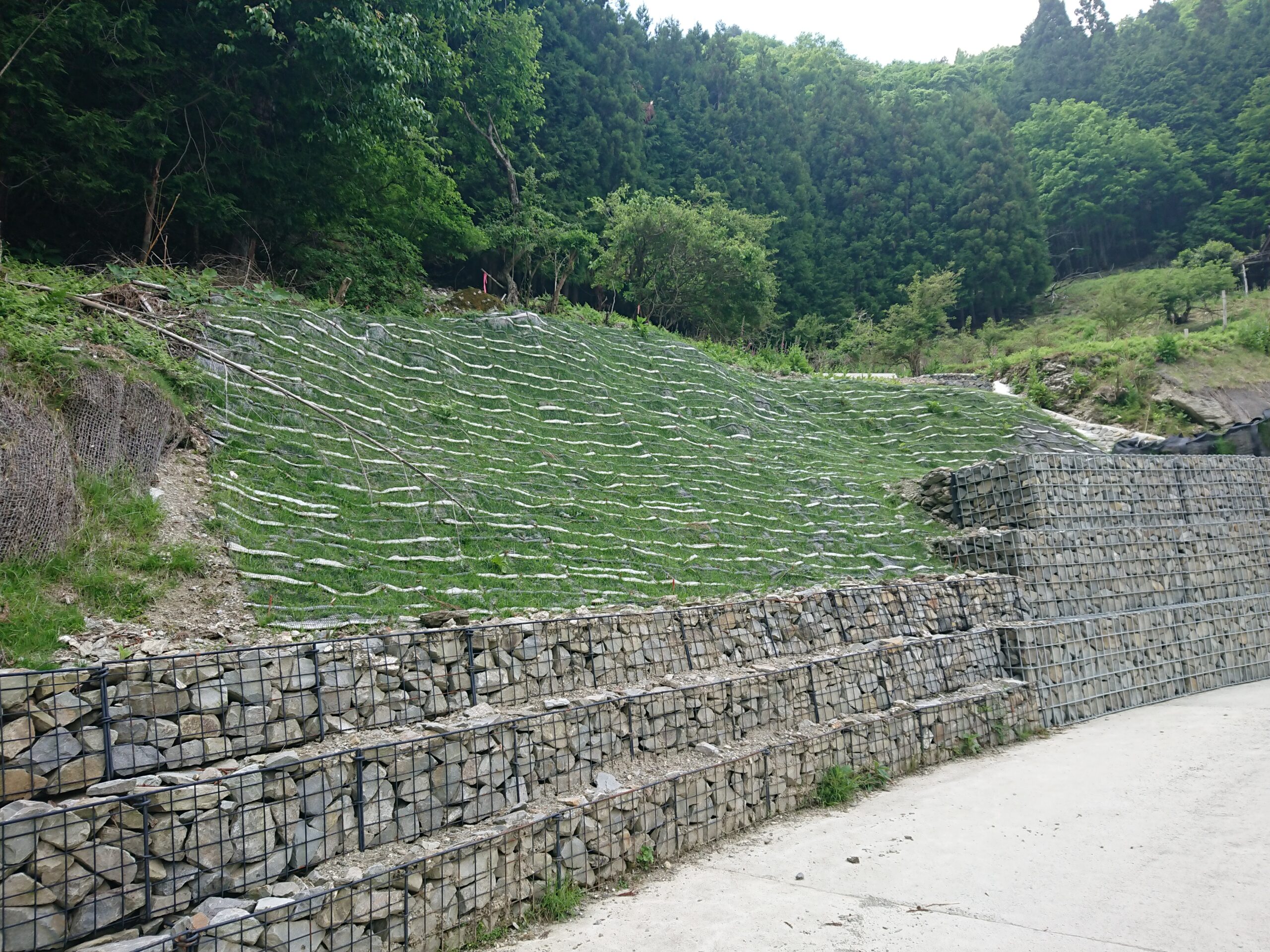 イシカ谷山腹工事