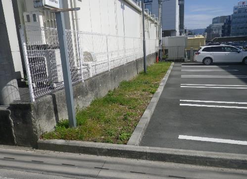 施工前(草刈前)