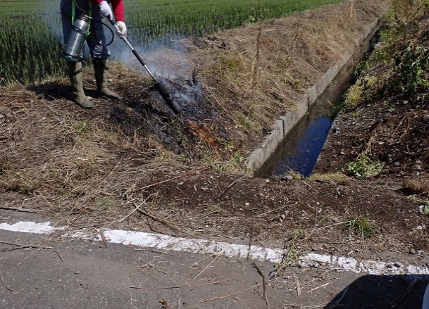 枯草処理(施工前処理)