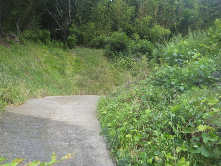 橋谷地区保安林緊急改良事業