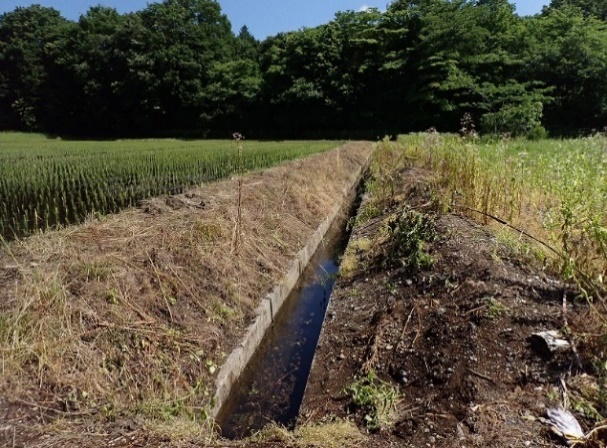 除草剤散布(施工前処理)