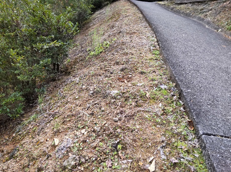 施工前(除草完了)