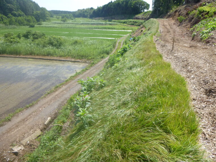 高牧下池改修工事
