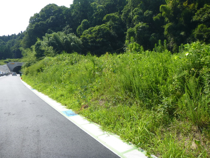 林道法面改良工事