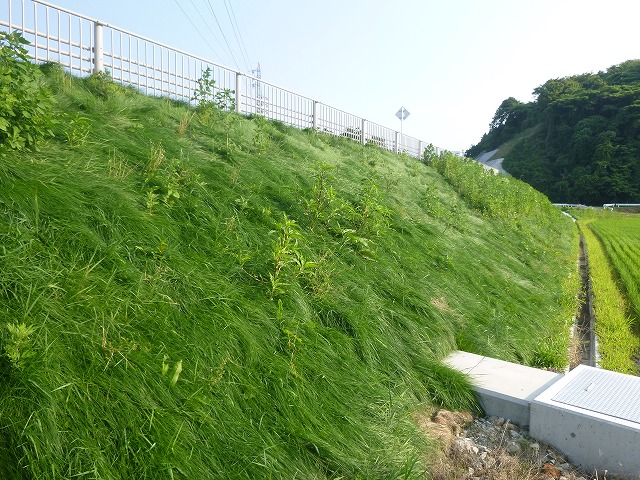 里根神岡上線道路改良舗装工事