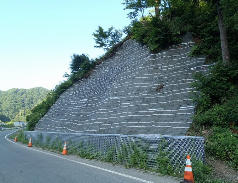 大谷試験地法面改修工事