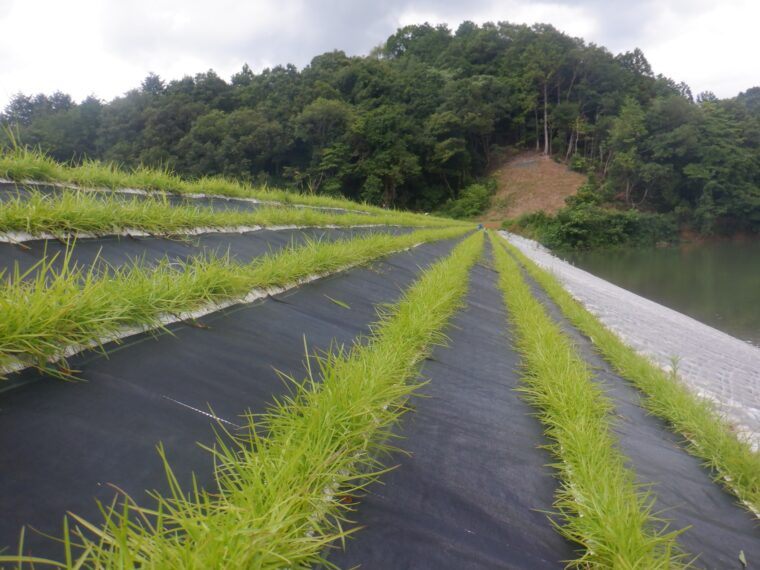 農地中間管理機構関連農地整理工事
