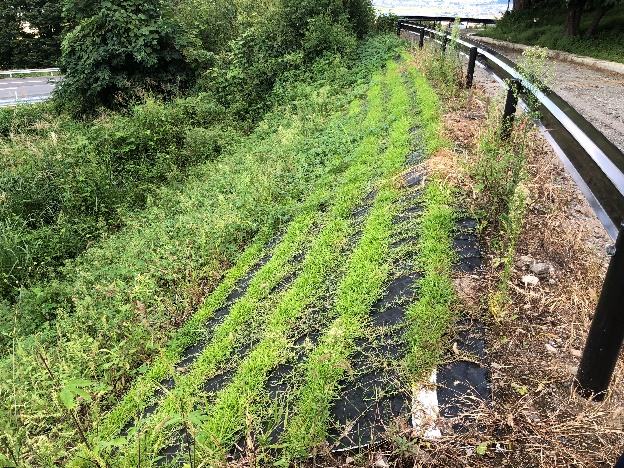 施設内歩道工事