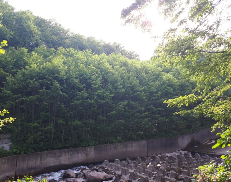 二河川支川緊急砂防工事