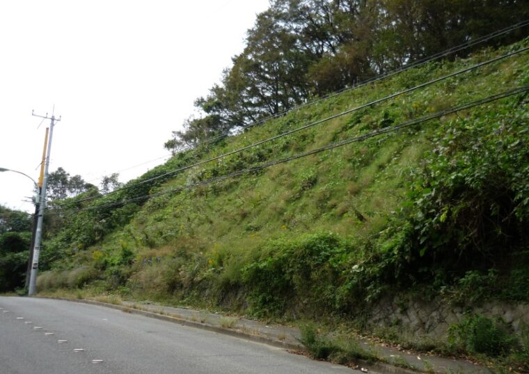 釜戸町河川維持工事