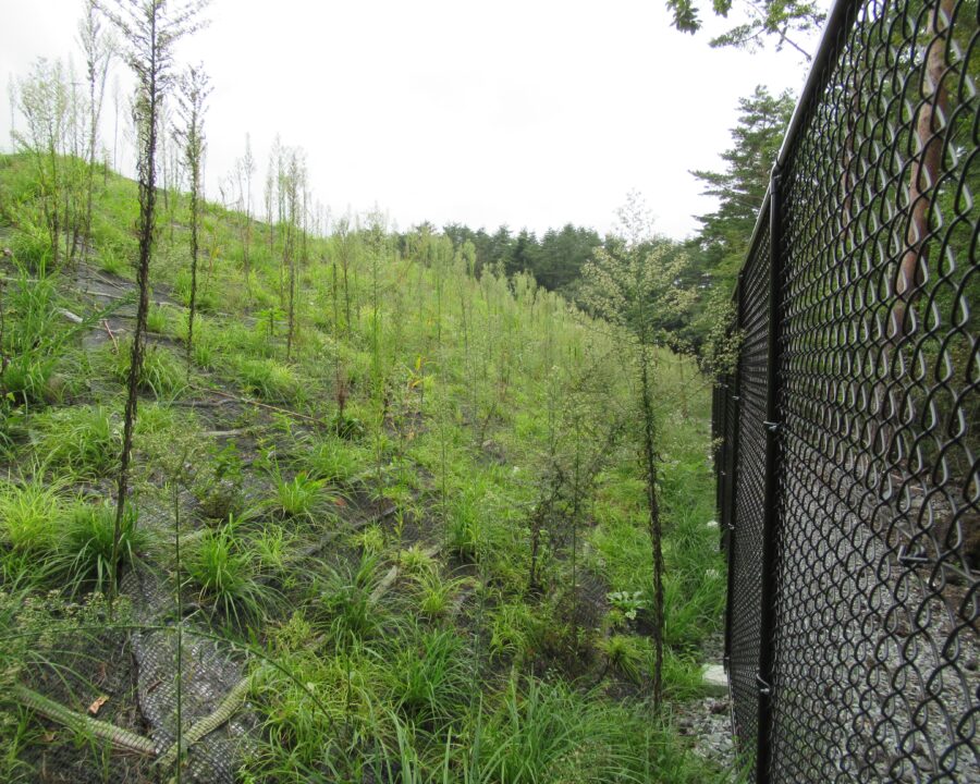 施工後1年2ヶ月