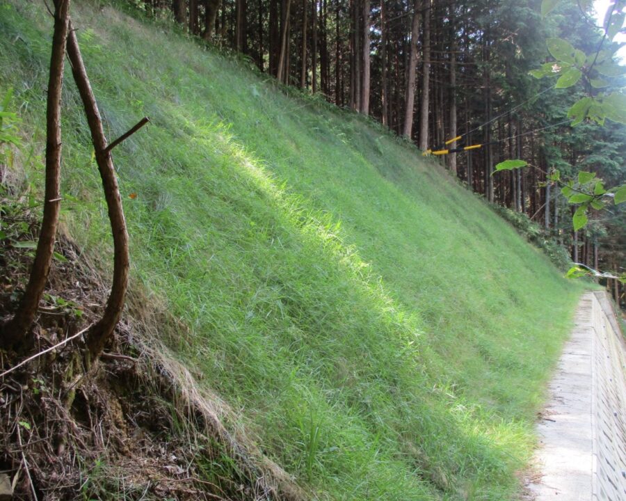 施工後1年3ヶ月