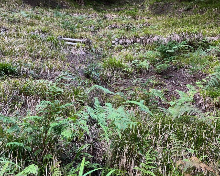 施工後5年10ヶ月