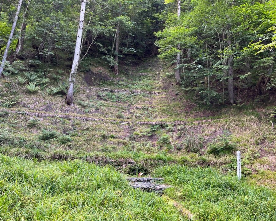 施工後5年10ヶ月