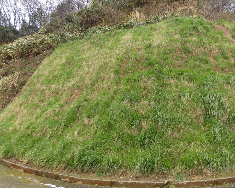 施工後1年3ヶ月