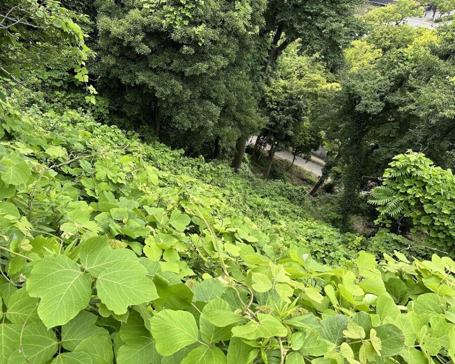 施工後4年8ヶ月