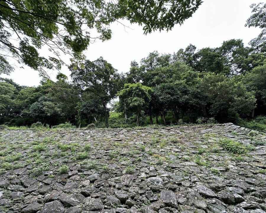 施工後4年8ヶ月