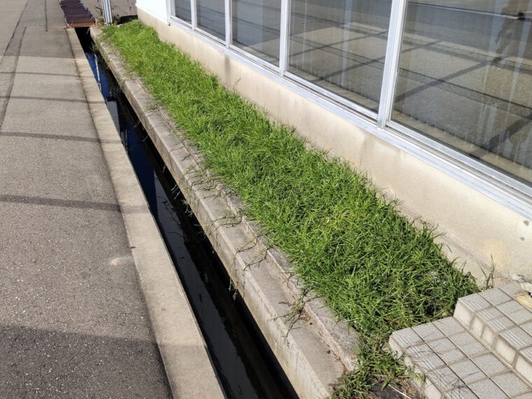 前畑崎辺道路改良工事