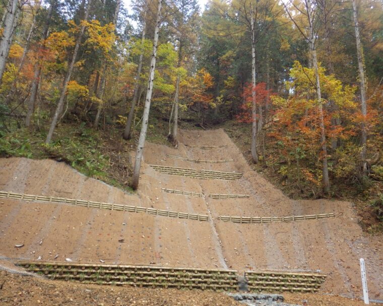 豊田・岡崎地区造成工事