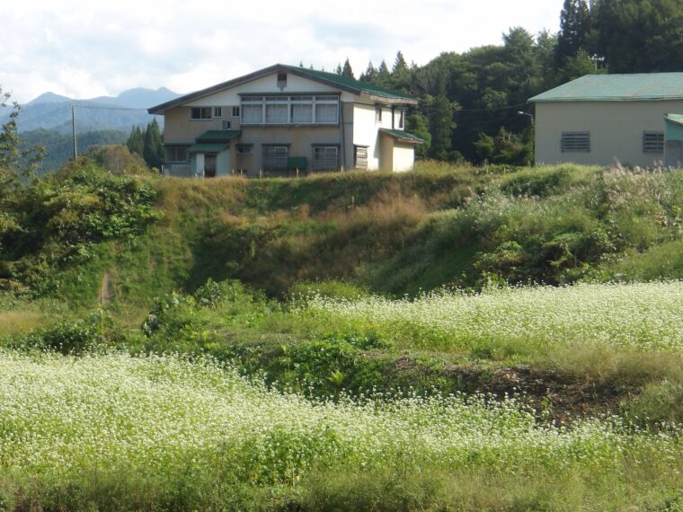 芋沢下清水地区水路改修工事