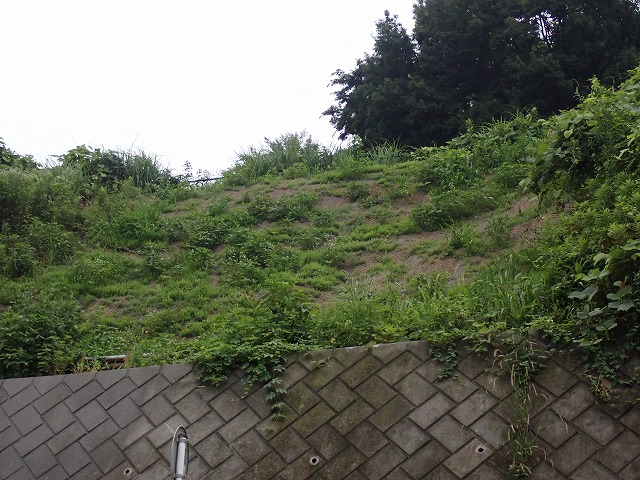 林道三条山線法面復旧工事