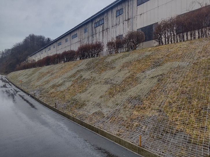 谷条南線道路改良工事