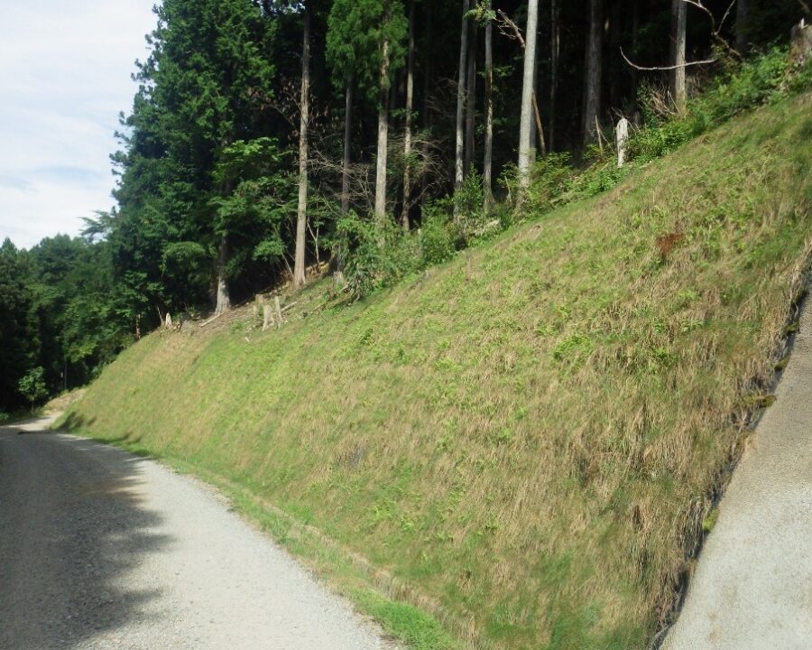 施工後3年5ヶ月