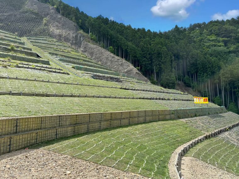 林道早日渡災害復旧工事