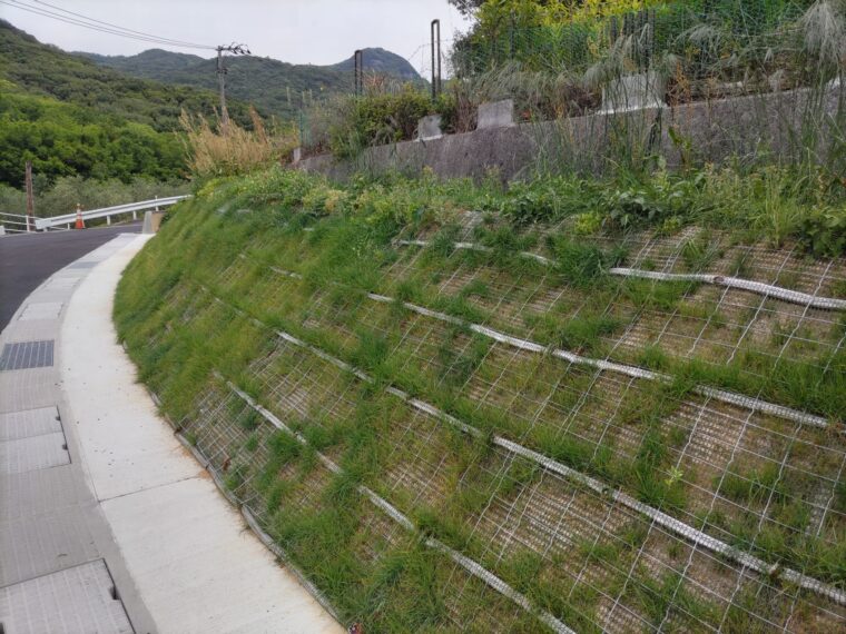 林道早日渡災害復旧工事