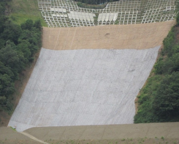 肱川堤防維持工事