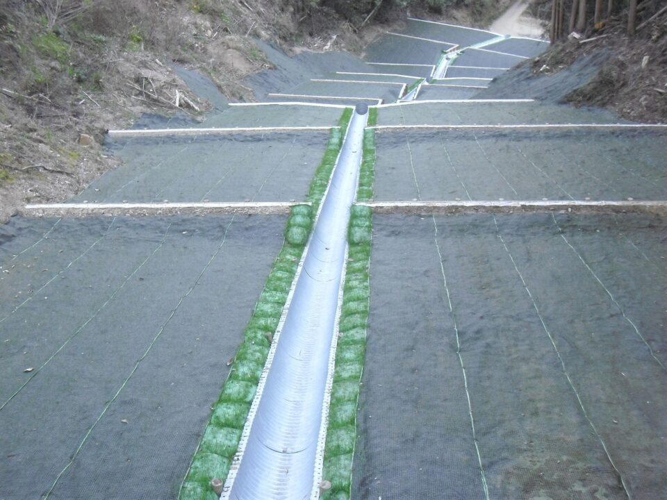 施工後2ヶ月（のり面のシートも施工完了）