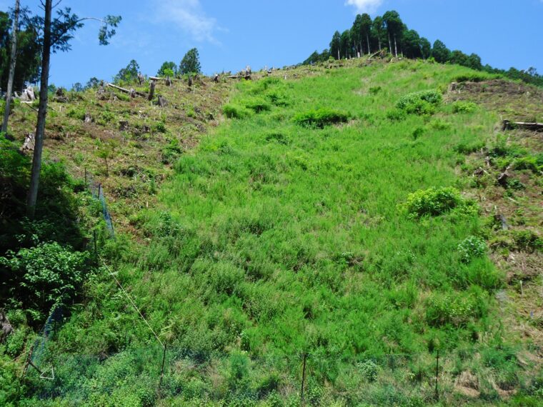 東濃東部都市間連絡道路整備工事