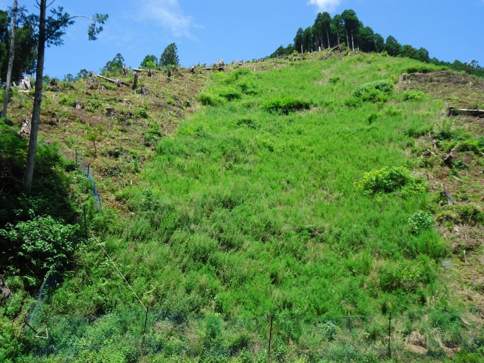 施工後2年6ヶ月