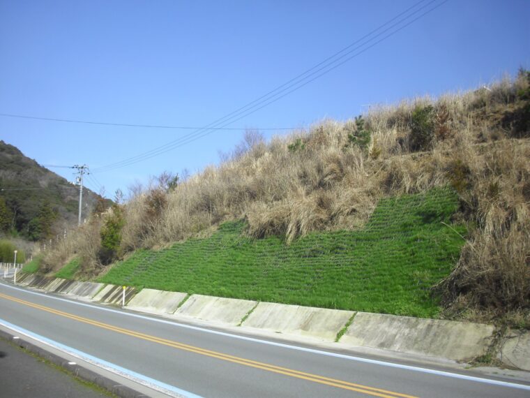 林道整備工事(試験施工)