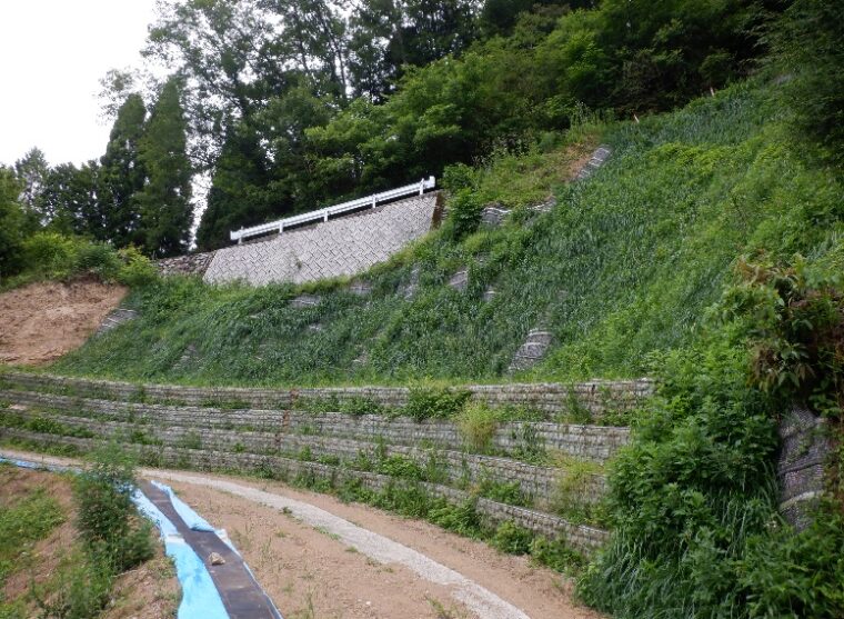 林道東谷線整備工事