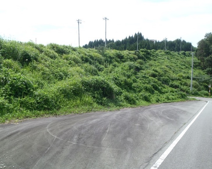 施工後8年11ヶ月