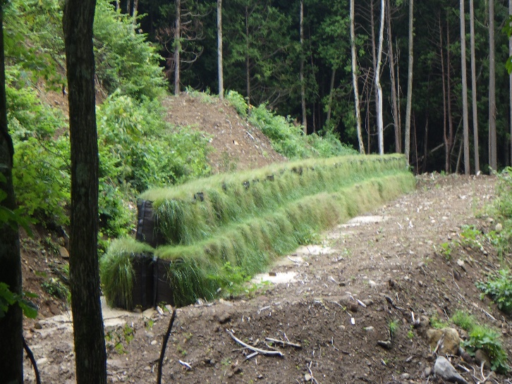 小学校外周道路工事