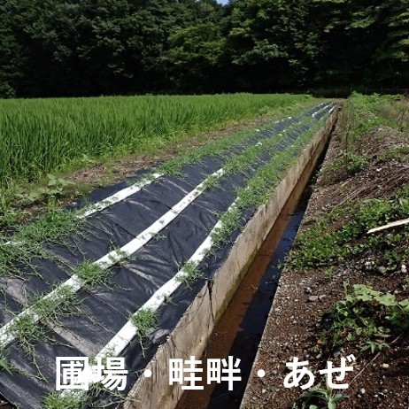 イジゲンシート