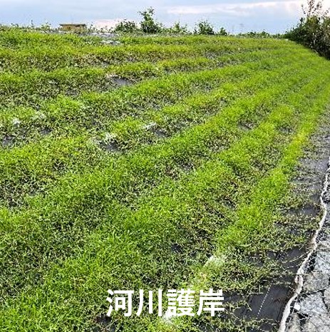 イジゲンシート